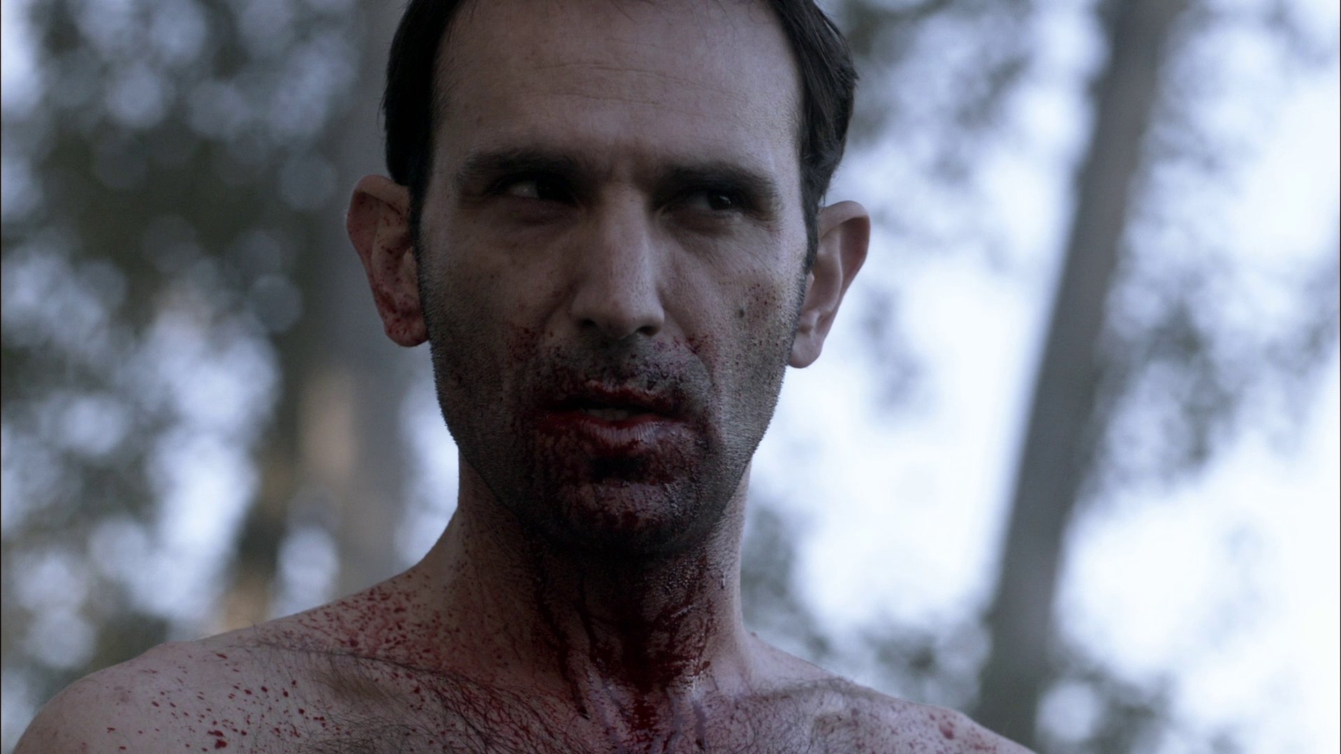 Сезон 6 Серия 8